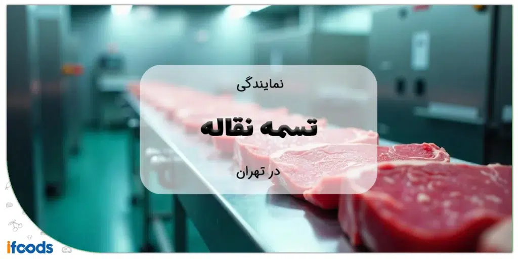 نمایندگی تسمه نقاله در تهران