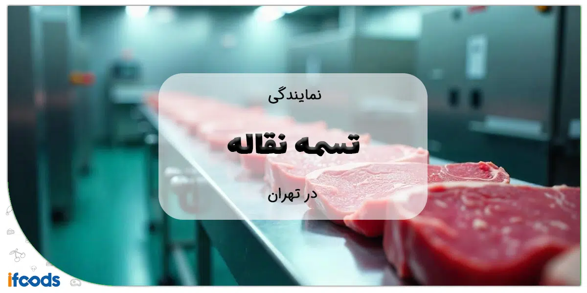 نمایندگی تسمه نقاله در تهران