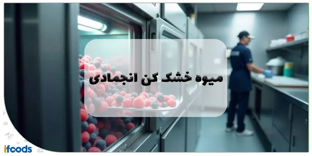 میوه خشک کن انجمادی
