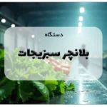 دستگاه بلانچر سبزیجات