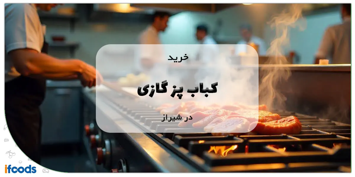 خرید کباب پز گازی در شیراز