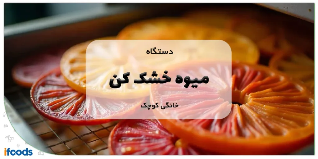 دستگاه میوه خشک کن خانگی کوچک