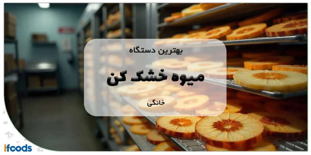 بهترین دستگاه میوه خشک کن خانگی