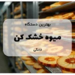 بهترین دستگاه میوه خشک کن خانگی