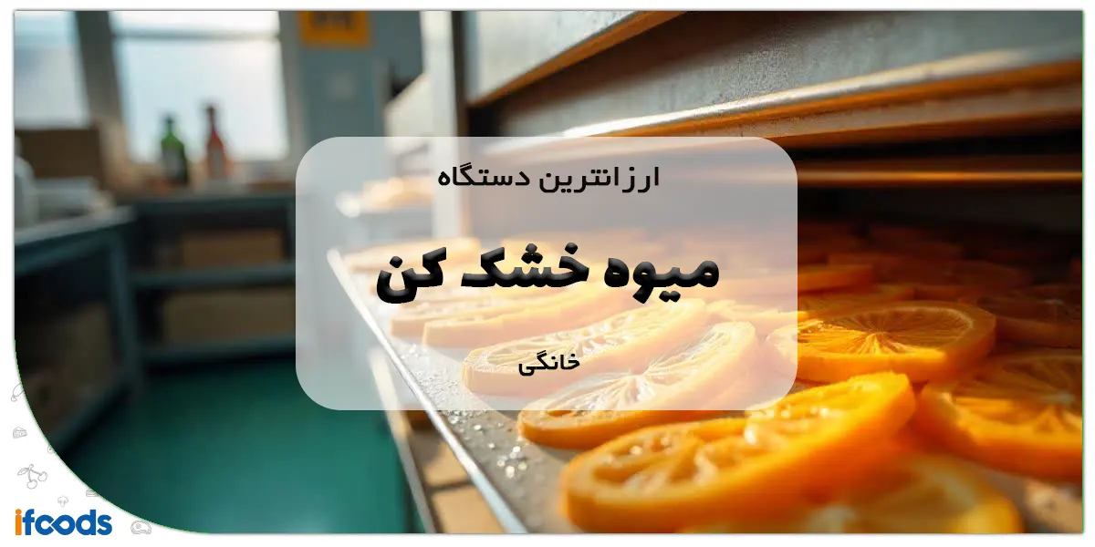 ارزانترین دستگاه میوه خشک کن خانگی