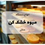 انواع دستگاه میوه خشک کن خانگی