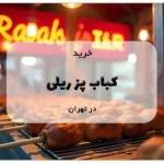 خرید کباب پز ریلی در تهران