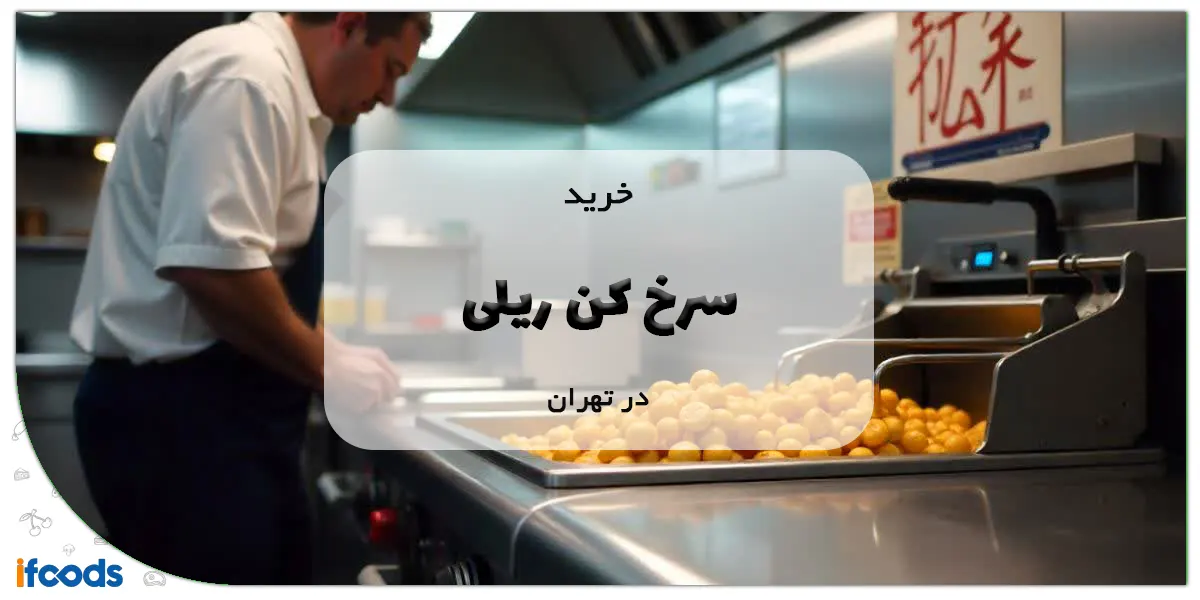 خرید سرخ کن ریلی در تهران با قیمت رقابتی 1 خرید سرخ کن ریلی در تهران