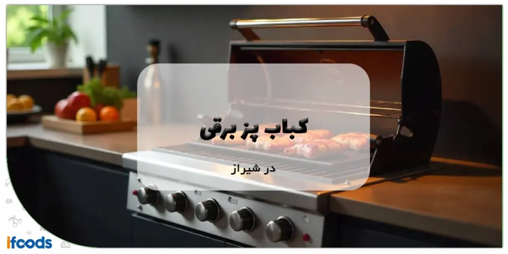 نمایندگی کباب پز برقی در شیراز؛ یک خرید آسان 2 کباب پز برقی در شیراز