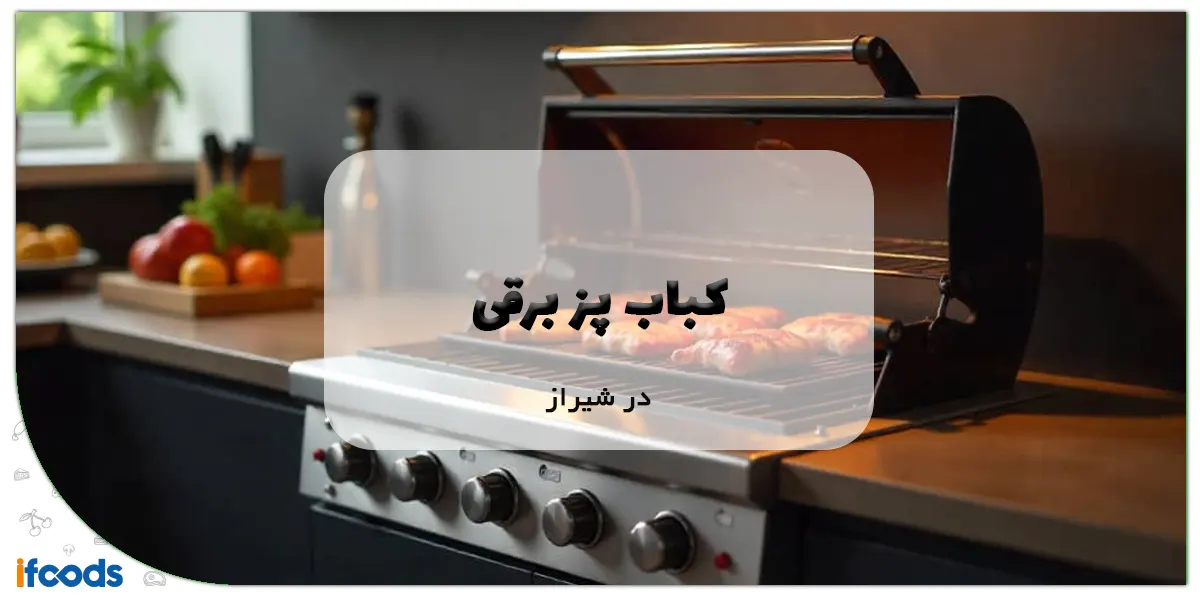 نمایندگی کباب پز برقی در شیراز؛ یک خرید آسان 1 کباب پز برقی در شیراز