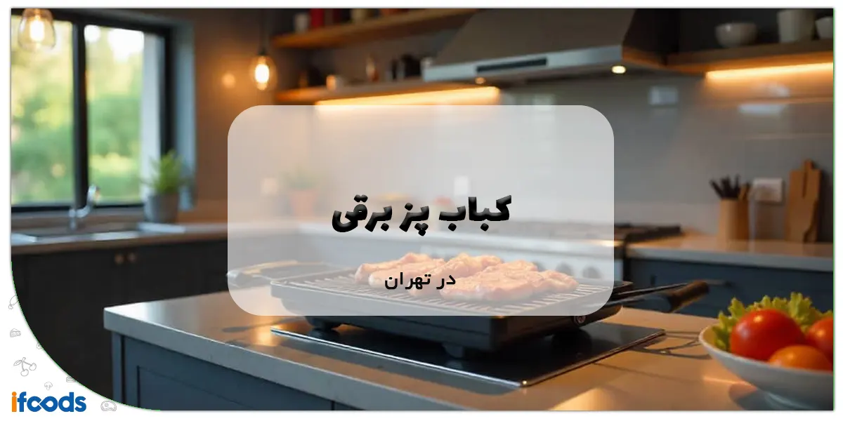 نمایندگی کباب پز برقی در تهران؛ خریدی آسان 1 کباب پز برقی در تهران