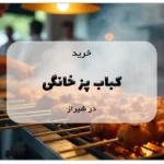 کباب پز خانگی در شیراز