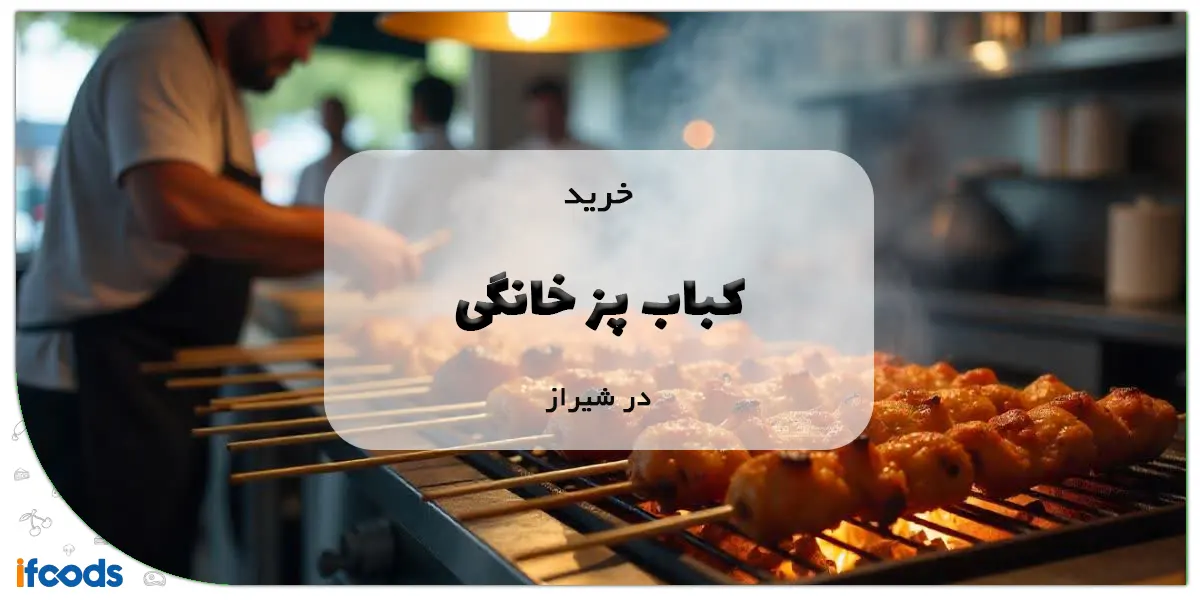 کباب پز خانگی در شیراز