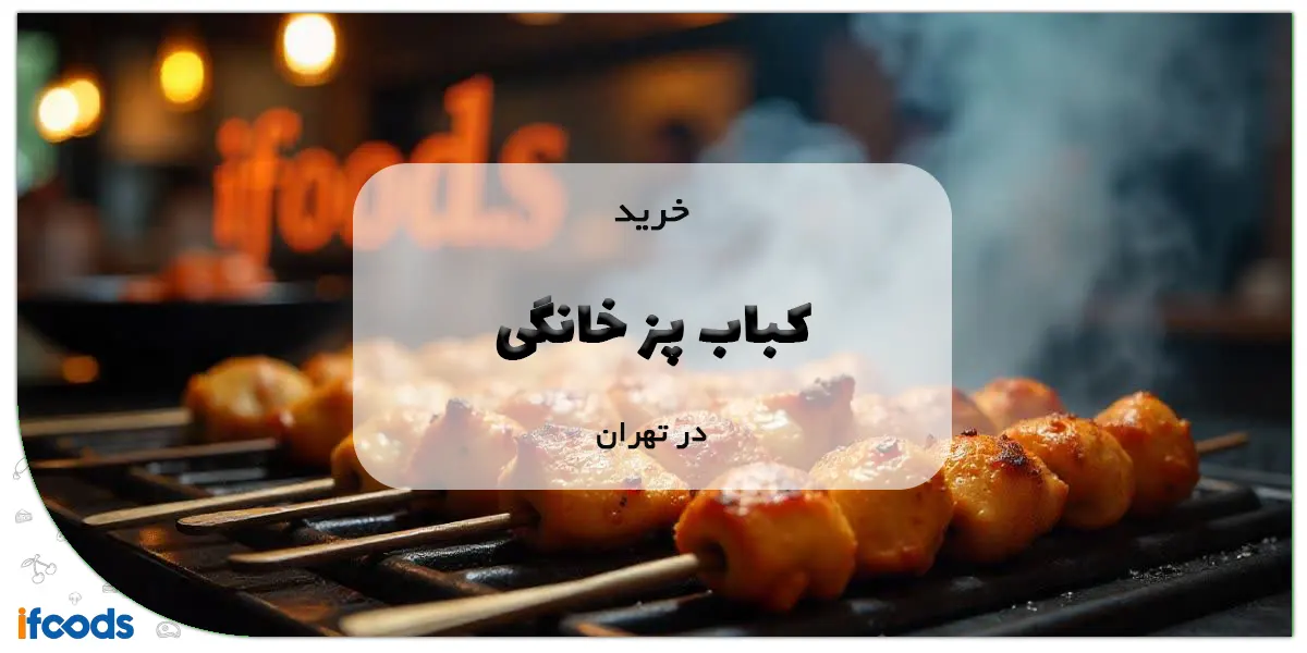 کباب پز خانگی در تهران