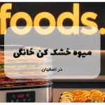 خرید از نمایندگی میوه خشک کن خانگی در اصفهان؛ قیمت عالی 17 میوه خشک کن خانگی در اصفهان