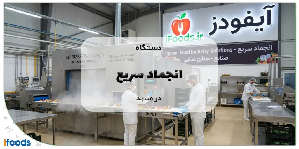 دستگاه انجماد سریع در مشهد
